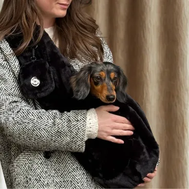 Attache de sécurité intérieure du sac de transport pour chien The Dog Label