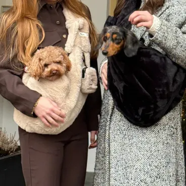 Sac de transport pour chien noir duveteux alliant confort, sécurité et élégance
