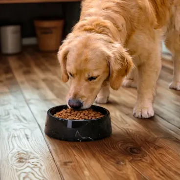 Détail de la gamelle en pierre naturelle marbre noir. Surface lisse