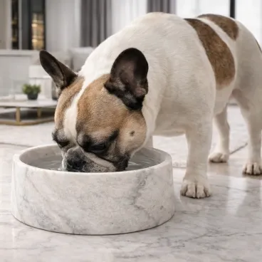 Détails veines marbre de Carrare gamelle pour chien.
