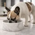 Gamelle pour chien marbre de carrare véritable - Élégance Italienne Unique Gamelle pour chien marbre de carrare véritable - Élégance Italienne Unique