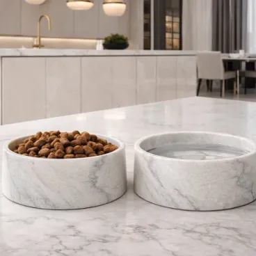 Gamelle luxe pour chien intérieur élégant