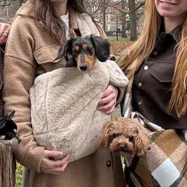 sac-chien-fatigue-ville-transports-confort