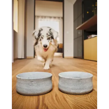 Gamelle Rocky laboni dans un intérieur moderne - parfaite pour chiens de toutes tailles