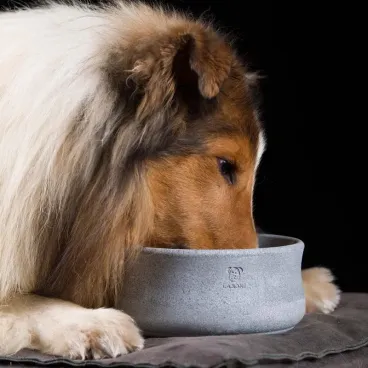 Gamelle pierre naturelle chien chat Rocky Laboni