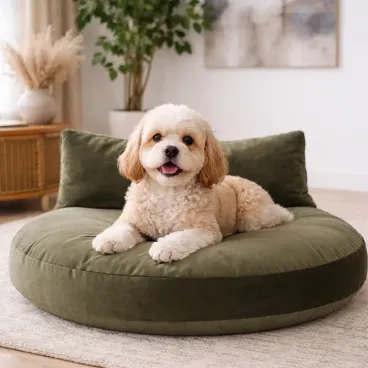 Couchage design pour chien Luna Lounge OXFORD coloris olive, vue de face dans un salon contemporain