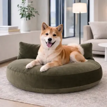 Coussin orthopédique pour chien Luna Lounge OXFORD olive, chien allongé en position de repos