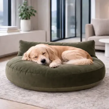 Coussin pour chien Luna Lounge OXFORD olive avec dossier, ambiance maison moderne et chaleureuse