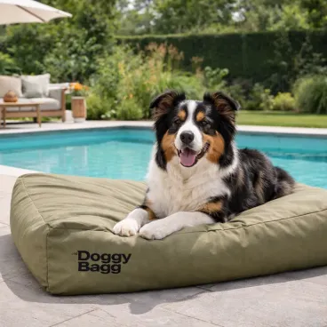 Coussin rectangulaire Doggy Bagg pour chien et chat – usage intérieur design