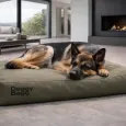 Coussin pour chien DoggyBag X-Treme Fossile