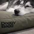 Coussin pour chien DoggyBag X-Treme Fossile