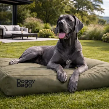 Accessoire couchage chien et chat Doggy Bagg – confort et design contemporain