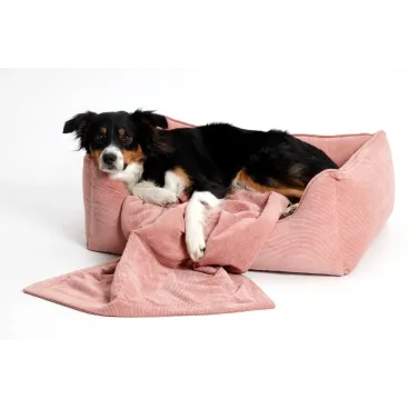 Panier pour chien design – Bella Concept Store Dog