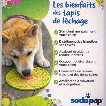 Tapis à lécher SodaPup Arbre de Vie garni de pâtée pour chien