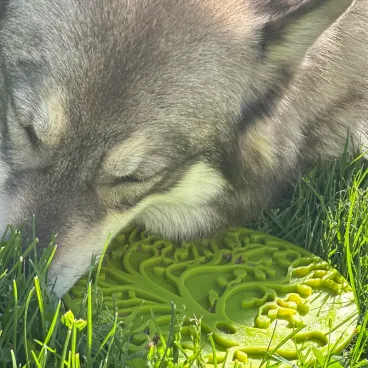 Tapis à lécher SodaPup Arbre de Vie – accessoire anti-stress pour chien