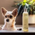Huile de soin et de massage apaisante pour chien - Nut'z by Lysa Huile de soin et de massage apaisante pour chien - Nut'z by Lysa