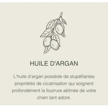 Huile d’argan bio – réparation intense du pelage de votre chien