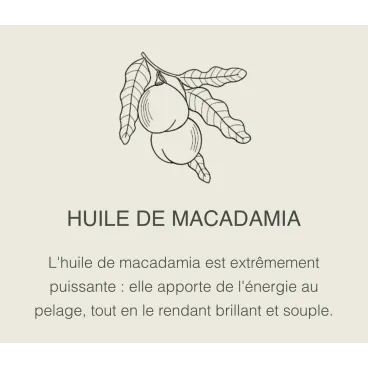 Huile de macadamia – éclat et souplesse pour le pelage canin