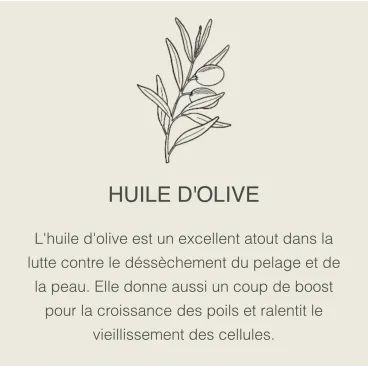 Huile d’olive – protection anti-dessèchement du poil du chien