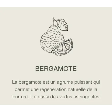 Bergamote – tonique naturel et régénérant pour la fourrure du chien