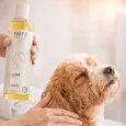 Huile de soin et de massage apaisante pour chien - Nut'z by Lysa Huile de soin et de massage apaisante pour chien - Nut'z by Lysa