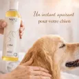 Huile de soin et de massage apaisante pour chien - Nut'z by Lysa Huile de soin et de massage apaisante pour chien - Nut'z by Lysa