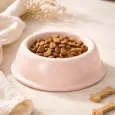 Gamelle rose pour chien & chat en céramique - Cafide Gamelle rose pour chien & chat en céramique - Cafide