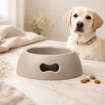 gamelle-chien-antiderapante-facile-a-nettoyer-design-moderne-chien