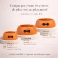 Gamelle pour chien design orange - Antidérapante & écologique Gamelle pour chien design orange - Antidérapante & écologique