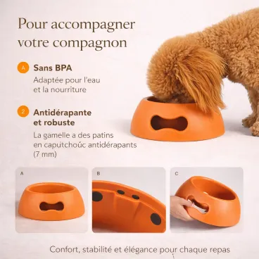 gamelle-chien-haut-de-gamme-orange-design-minimaliste