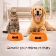 Gamelle pour chien design orange - Antidérapante & écologique Gamelle pour chien design orange - Antidérapante & écologique