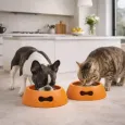 Gamelle pour chien design orange - Antidérapante & écologique Gamelle pour chien design orange - Antidérapante & écologique