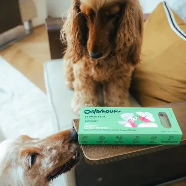 snack-chien-haleine-fraiche-delamour-friandise-dentaire