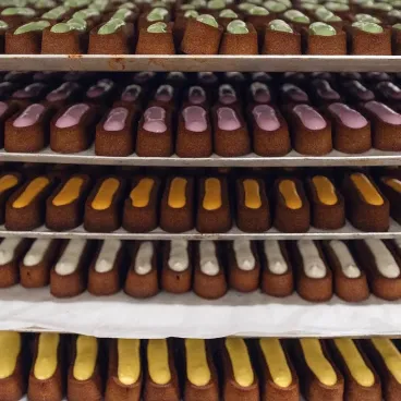 moelleux-delamour-friandise-chien-qualite-premium