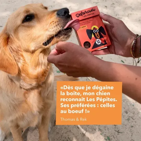 Friandises chien boeuf 90% - Les pépites Delamour