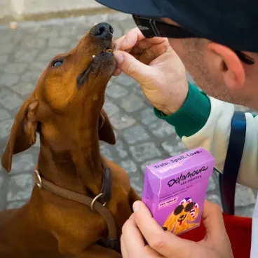 récompense-chien-naturelle-sans-additifs