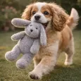 Peluche lapin pour chien - Doudou doux & apaisant