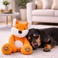 Peluche renard pour chien & chat -  Jouet doux & résistant