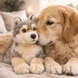 Peluche loup Bella - Doudou apaisant pour chien & chat - WWF