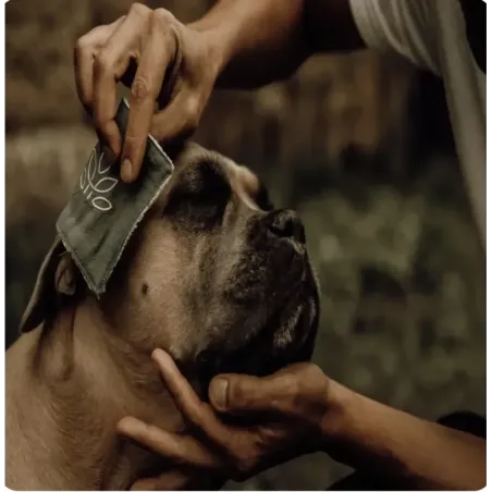 Lotion Nettoyante Naturelle pour Chien & Chat -  Yeux, Oreilles & Museau - Nellumbo - 100 ml