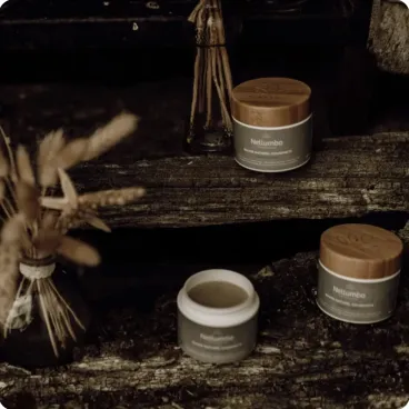 Soins naturels pour chien – gamme Nellumbo bio avec baume coussinets