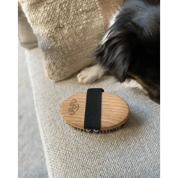 Brosse de Massage pour Chien en Bois & Fibres Naturelles - Soin Apaisant & Brillance du Pelage