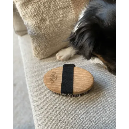 Brosse de Massage pour Chien en Bois & Fibres Naturelles - Soin Apaisant & Brillance du Pelage