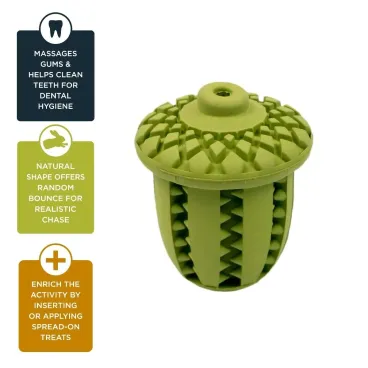 Détail des rainures du jouet gland pour friandises – enrichissement sensoriel