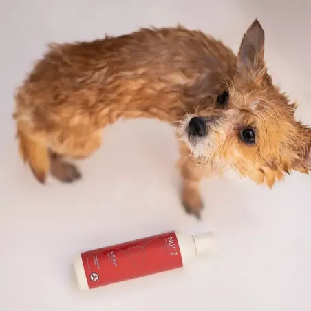 Lait Démêlant pour Chien Hydratant Naturel Kram Nut'z - Tous Types de Poils 300 ml