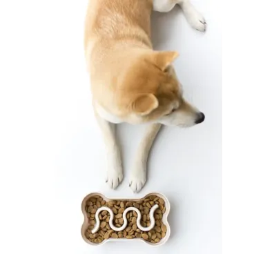 Gamelle Anti-Glouton Beige – Inooko | Pour une Alimentation Plus Saine et Ludique