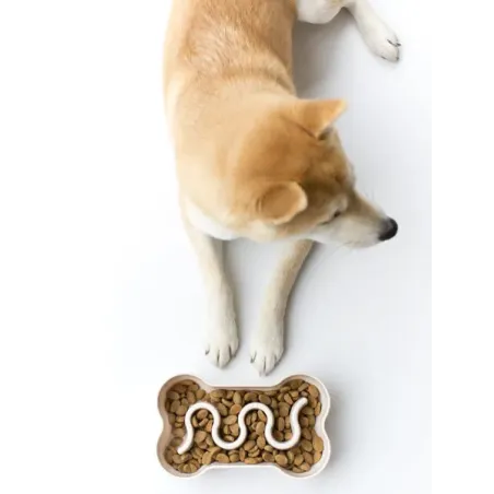 Gamelle Anti-Glouton Beige – Inooko | Pour une Alimentation Plus Saine et Ludique