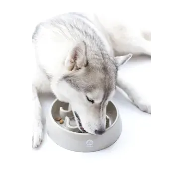 Gamelle Anti-Glouton pour Chien Inooko - Santé & bien être