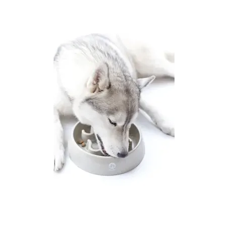 Gamelle Anti-Glouton pour Chien Inooko - Santé & bien être