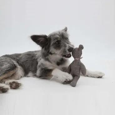 petit chien avec doudou orsu - compagnon de jeu calme et apaisant
